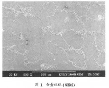 循環(huán)流化床鍋爐用高溫耐磨蝕熱電偶保護套管